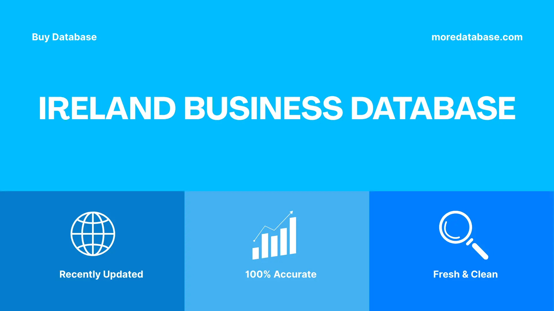 Ireland Business Database